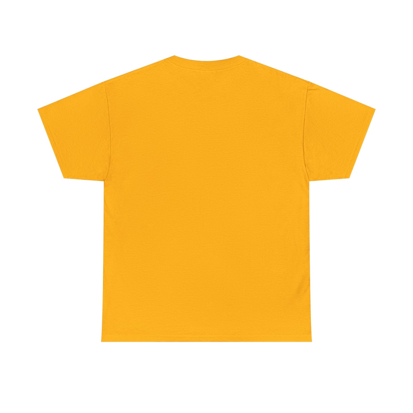 The Sun Dance - "Pray for $HYY!' Tee